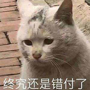 黑盒续集 | 如何在 CRA 黑盒中争取主动权？